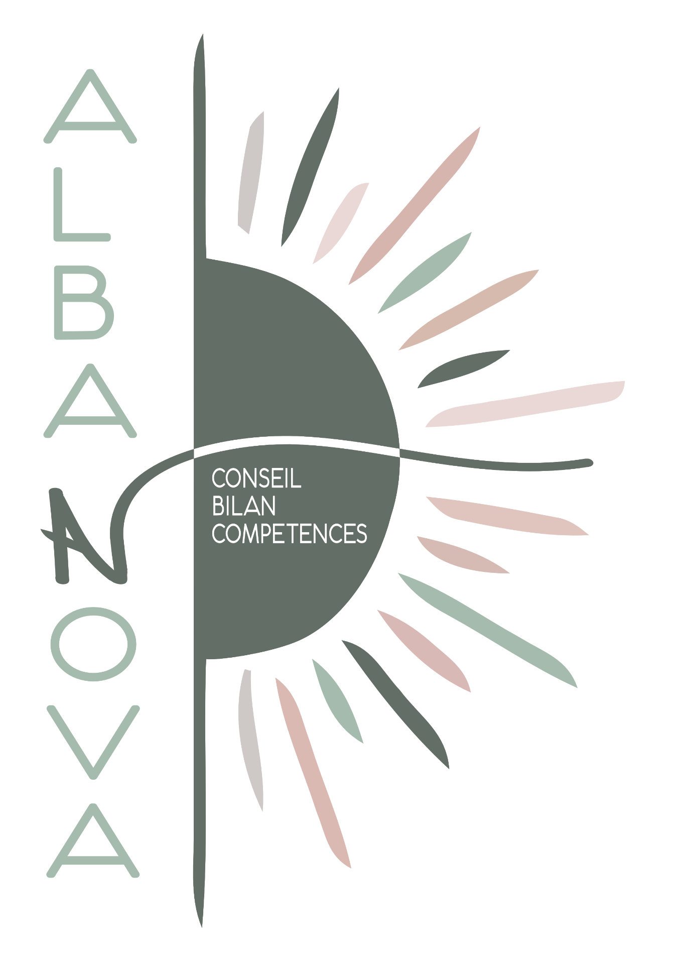 Alba Nova — Conseil, Bilan, Compétences